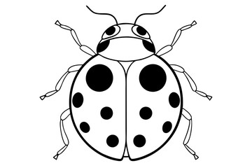 ladybug silhouette line art vector illustration with a white background