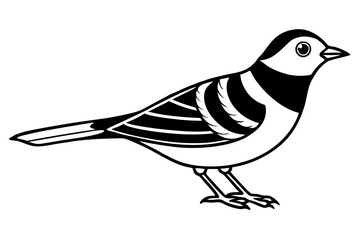 lark silhouette line art vector illustration with a white background