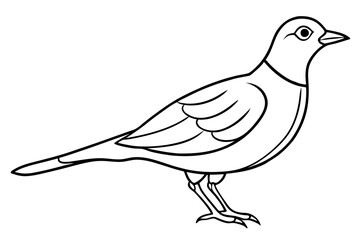 Obraz premium lark silhouette line art vector illustration with a white background