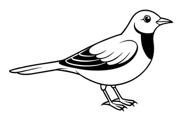 Obraz premium lark silhouette line art vector illustration with a white background