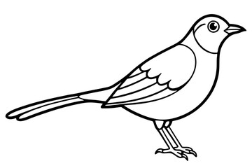 lark silhouette line art vector illustration with a white background
