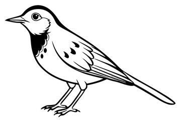 lark silhouette line art vector illustration with a white background