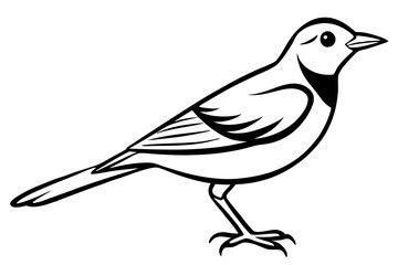 lark silhouette line art vector illustration with a white background