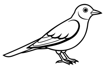 lark silhouette line art vector illustration with a white background