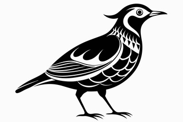 lark silhouette line art vector illustration with a white background