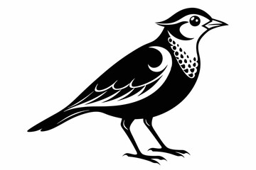 lark silhouette line art vector illustration with a white background