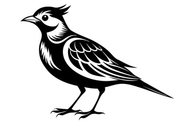 lark silhouette line art vector illustration with a white background