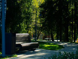 modern wooden city park on the river bank surrounded by forest