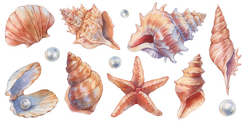 Watercolor set of Seashells and Pearls isolated on white background. Hand drawn illustration. Collection realistic sea shell for design. Summer sea clipart.