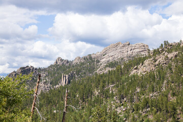 Fototapeta premium Custer State Park, South Dakota