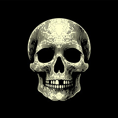 hand drawing vector silhouette of skull 