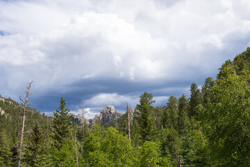 Custer State Park, South Dakota