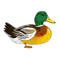 duck icon on transparent background
