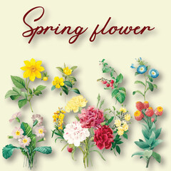 Fresh Spring Flowers Bringing New Life and Color

