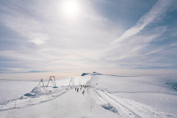 Fototapety na wymiar - Fototapeta24.pl