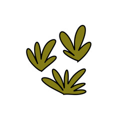 Plants cartoon png 