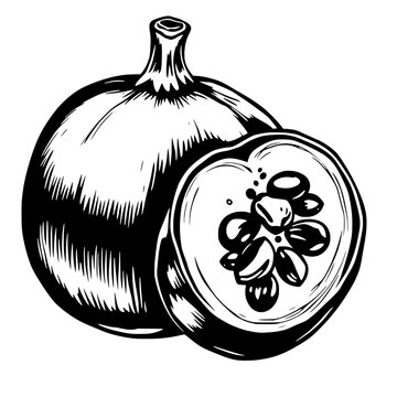 black and white passion fruit drawing clip art preview