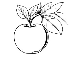 Line Art Drawing Of A Single Apple With Leaves Attached To The Stem