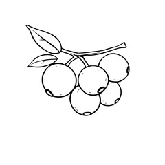 Cluster Of Yellow Berries On A Branch With Leaves