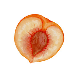 Juicy, ripe, colorful fruit of peach, nectarine. Vector graphics.