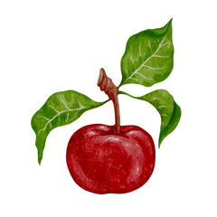Juicy, ripe red apple with green leaves.Vector graphic.