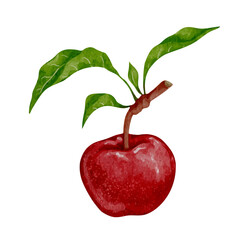 Juicy, ripe red apple with green leaves.Vector graphic.
