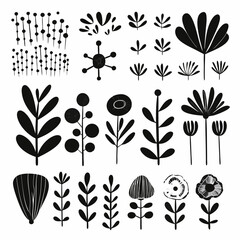 Fototapeta premium Black and White Botanical Elements: An elegant array of stylized black botanical elements perfect for design and illustration projects