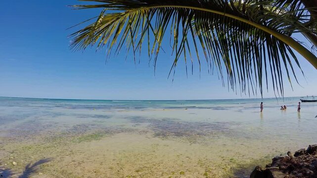 Tourists enjoying the crystal clear water of mahahual beach under a palm tree