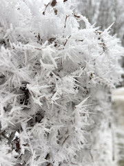 An Exquisite and Beautifully Frosty Landscape Featuring Intricate and Stunning Ice Crystals