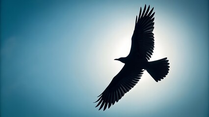 eagle flying in the sky
