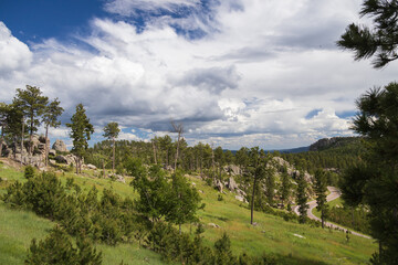 Naklejka premium Custer State Park, South Dakota