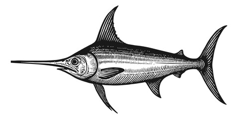 Engraved Illustration of Swordfish with Detailed Line Work and Shading in Black and White