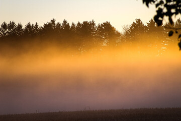 Rural foggy sunrise 