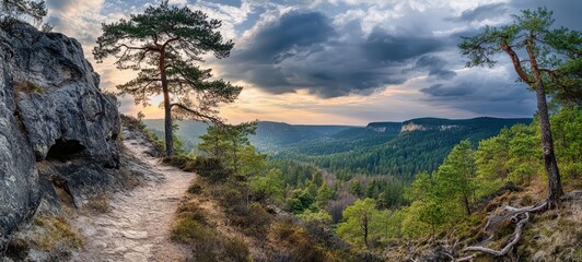 Obraz premium A forest trail leading to a mountain viewpoint