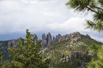 Custer State Park, South Dakota 