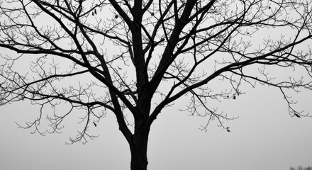 Minimalist Monochrome Tree Depiction