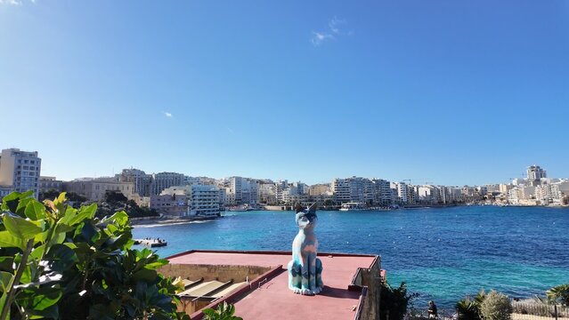 at village Malta, A huge cat statue on the limestone building, Balluta Bay. High quality photo
