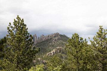 Custer State Park, South Dakota 