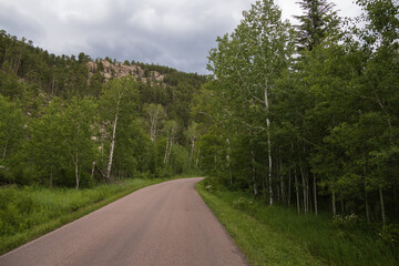 Road through Custer State Park, South Dakota 