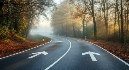 Fototapeta premium Winding road in autumn, lined with trees and marked directional arrows