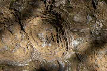 Textured soil, with signs of erosion.