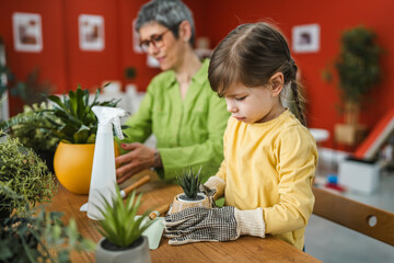 Grandmother with granddaughter transplant flowers at home