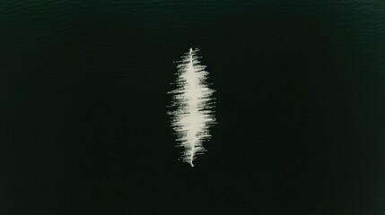 Distinctive white wave pattern on dark water