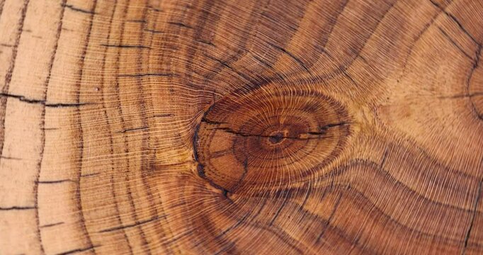 annual rings of a walnut trunk polished for the manufacture of interior details, processed beautiful walnut cracked board used for the manufacture of objects, serving stand