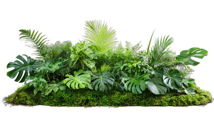 a lush arrangement of various tropical plants showcasing vibrant green foliage and textures ideal for enhancing indoor spaces or creating a natural ambiance