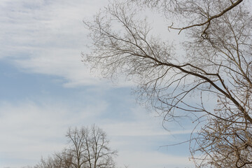 cloud formations on a light blue sky background with trees