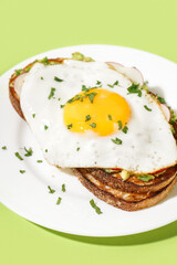 Delicious sandwich with fried egg on green background