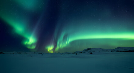 Naklejka premium Vibrant green aurora borealis dances over a snowy arctic landscape at night.