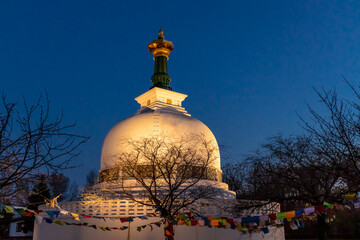 Peace pagoda buddhist temple shire in Vienna on the bank of Donau river during the day and night....
