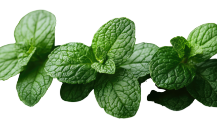 You've reached our limit of messages per hour Please try again later